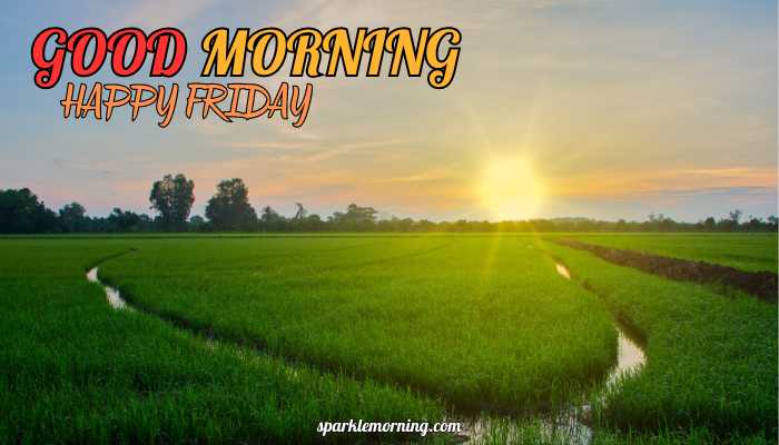 good morning happy friday images
