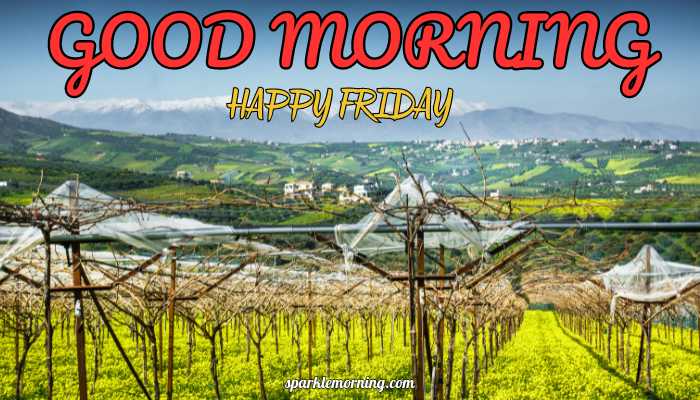 good morning happy friday images