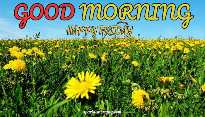 good morning happy friday images