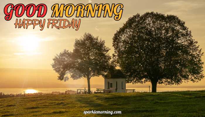 good morning happy friday images