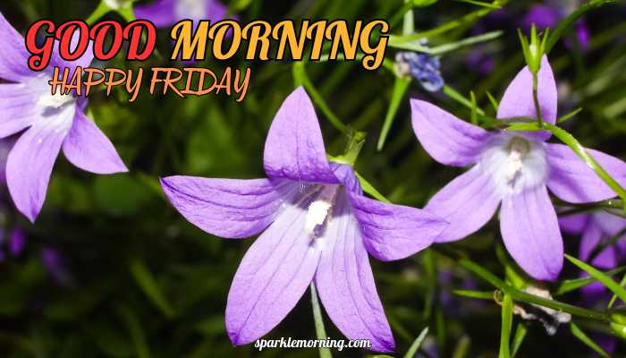 good morning happy friday images