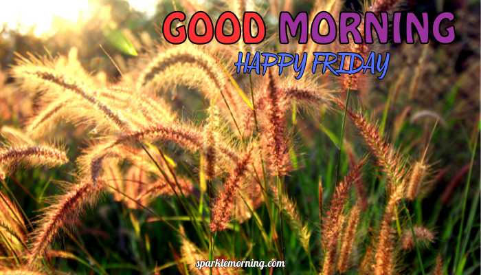 good morning happy friday images