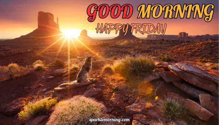 good morning happy friday images