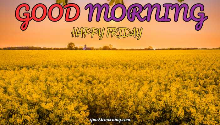 good morning happy friday images
