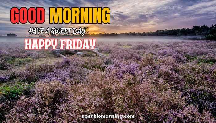 good morning happy friday images