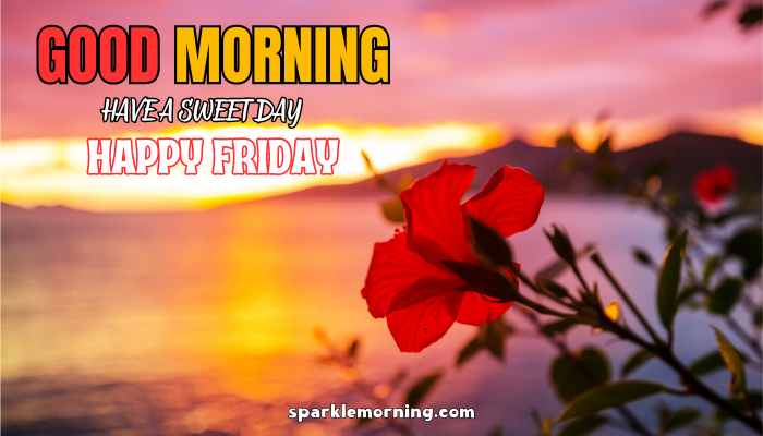 good morning happy friday images