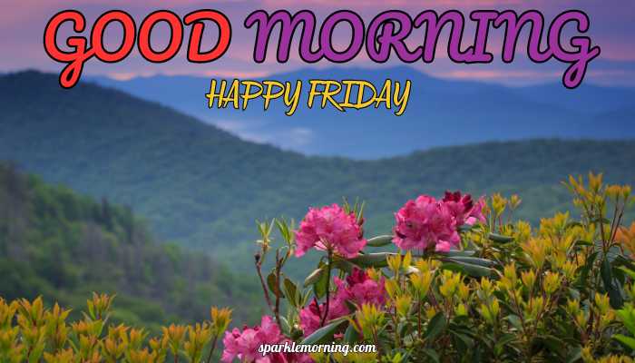 good morning happy friday images