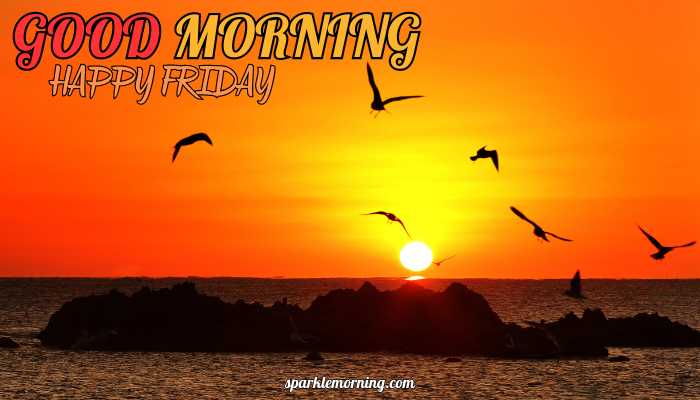 good morning happy friday images