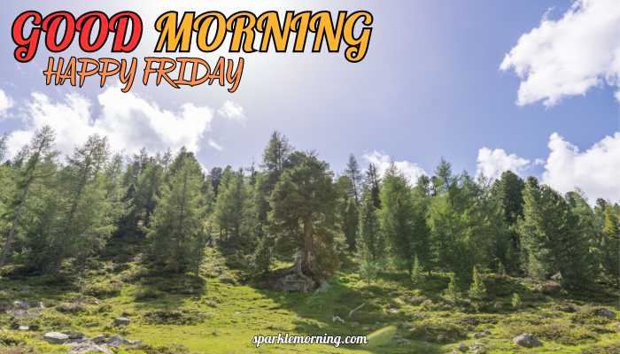 good morning happy friday images