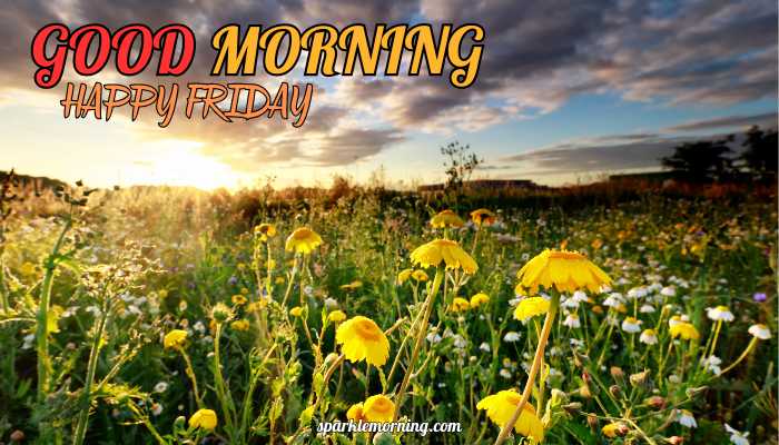 good morning happy friday images