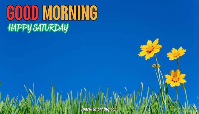 good morning happy saturday images