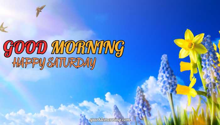 good morning happy saturday images