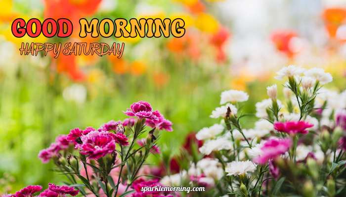 good morning happy saturday images