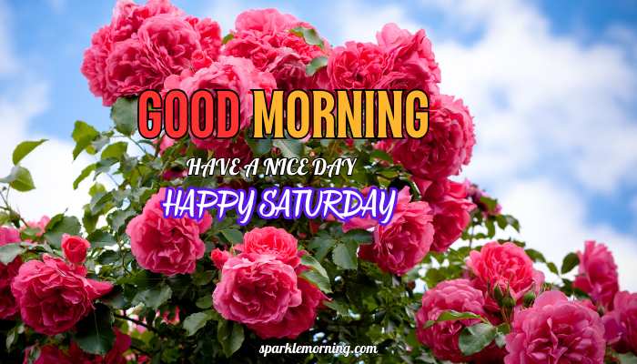 good morning happy saturday images