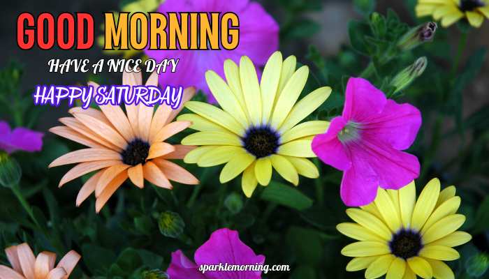 good morning happy saturday images