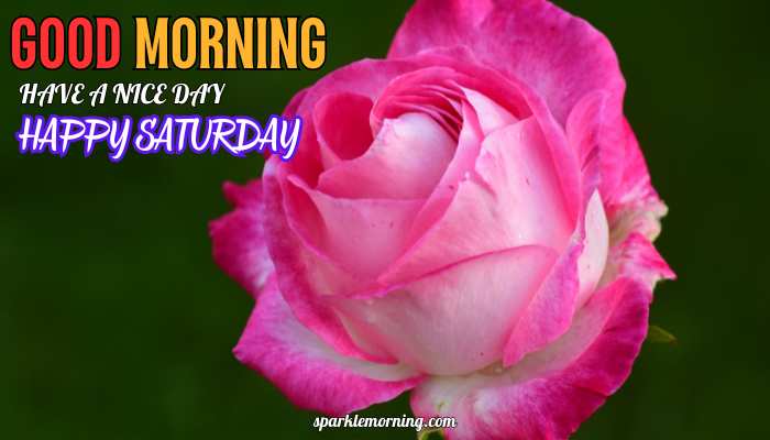good morning happy saturday images
