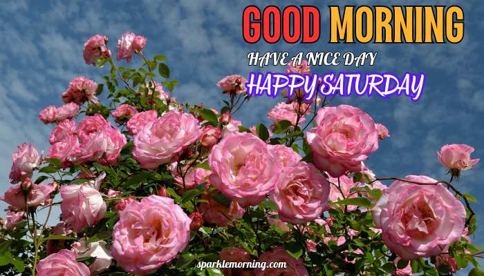 good morning happy saturday images