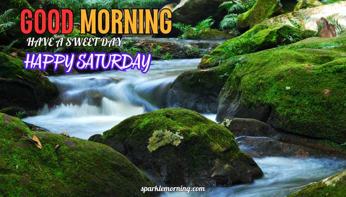 good morning happy saturday images