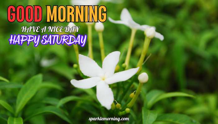 good morning happy saturday images