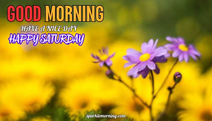good morning happy saturday images