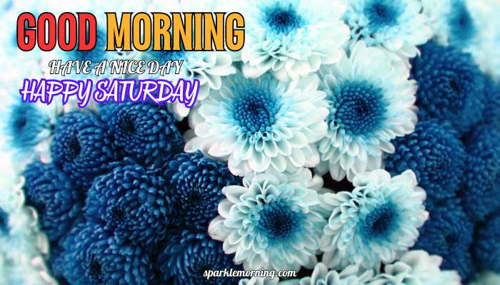good morning happy saturday images