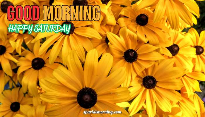 good morning happy saturday images