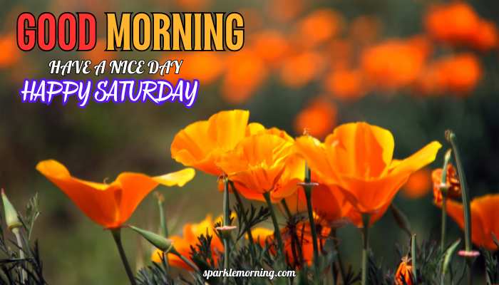 good morning happy saturday images