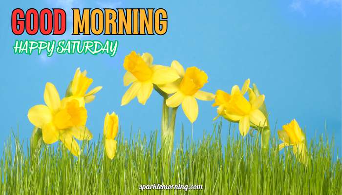good morning happy saturday images