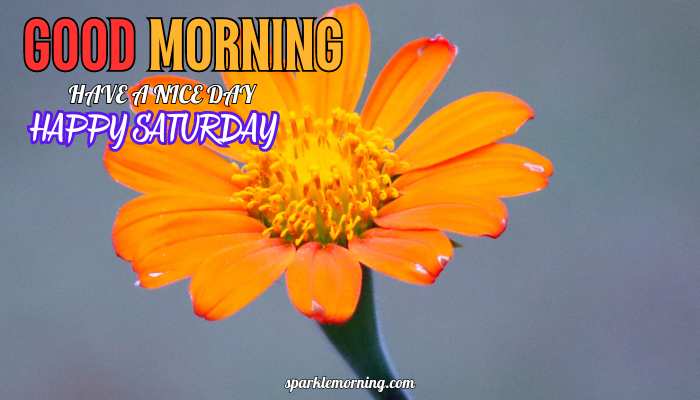 good morning happy saturday images