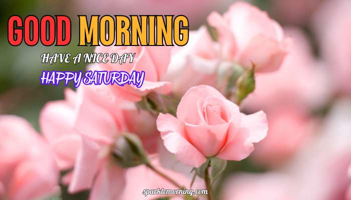 good morning happy saturday images