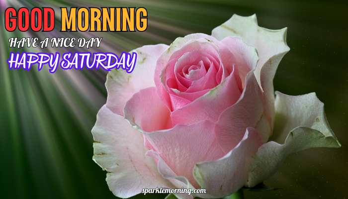 good morning happy saturday images