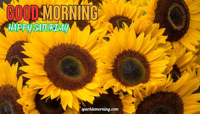 good morning happy saturday images