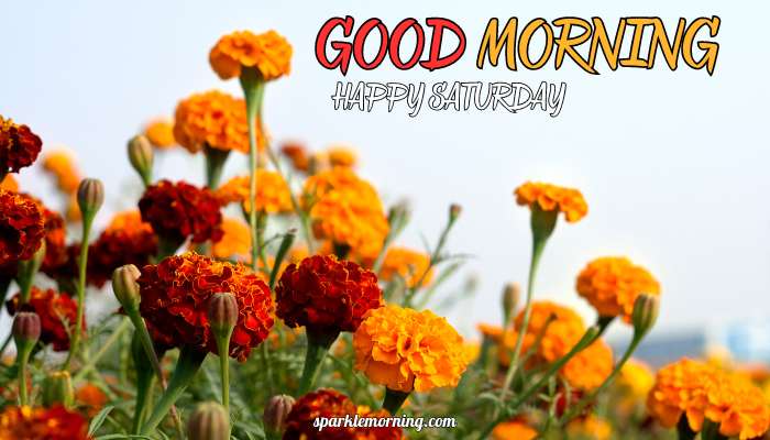 good morning happy saturday images