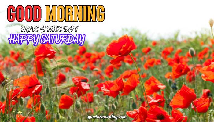 good morning happy saturday images