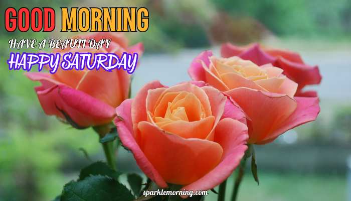 good morning happy saturday images