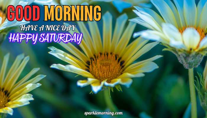 good morning happy saturday images