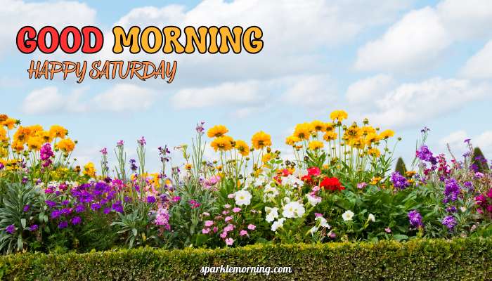 good morning happy saturday images