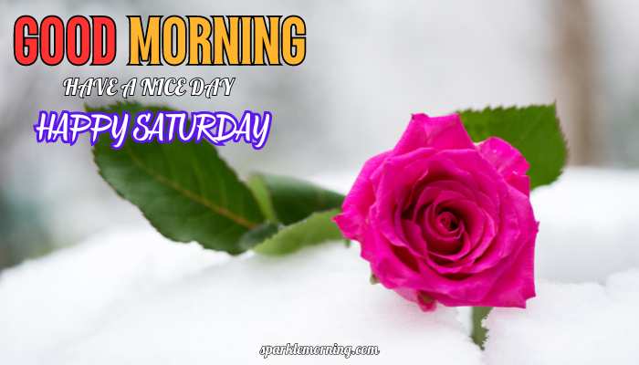 good morning happy saturday images