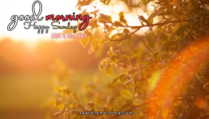 good morning happy sunday images