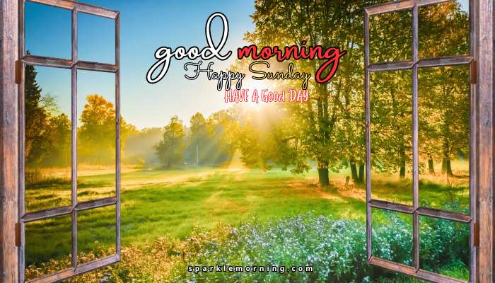 good morning happy sunday images