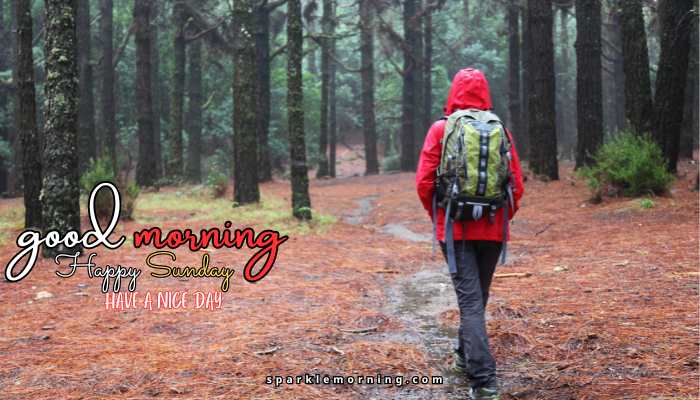 good morning happy sunday images