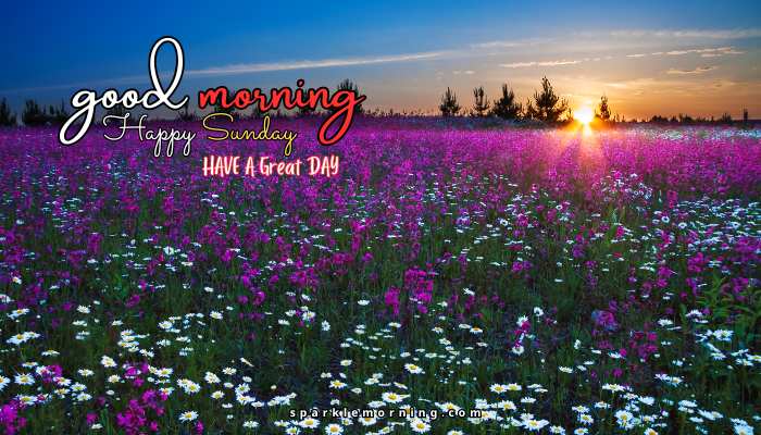 good morning happy sunday images