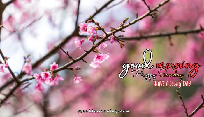 good morning happy sunday images