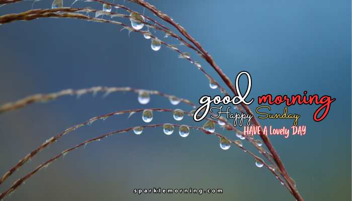 good morning happy sunday images