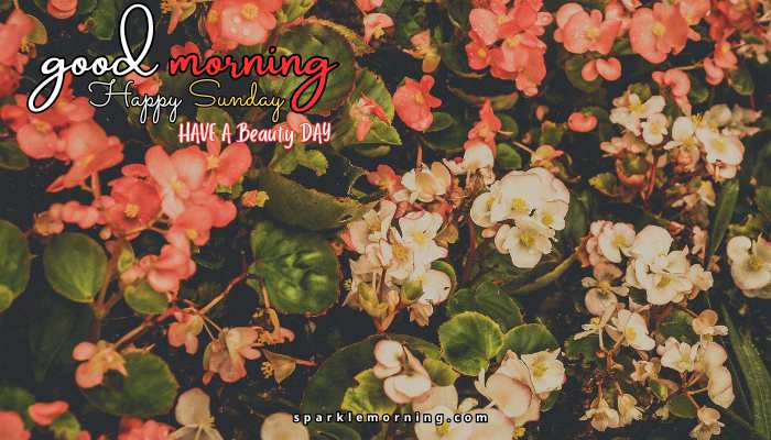 good morning happy sunday images