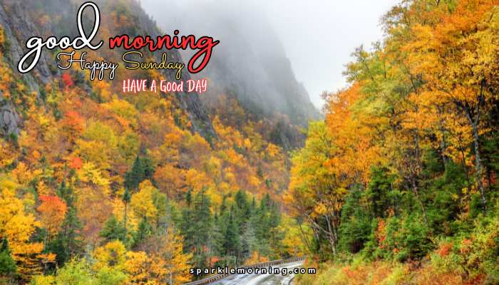 good morning happy sunday images