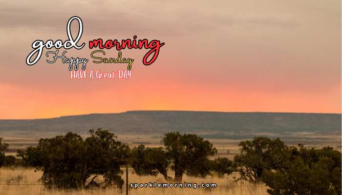 good morning happy sunday images