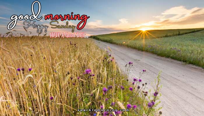 good morning happy sunday images