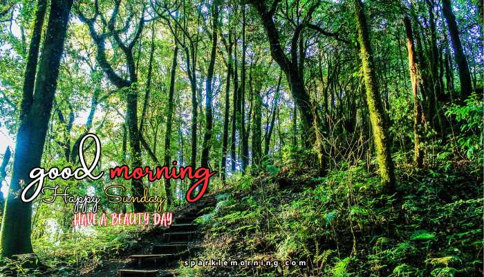 good morning happy sunday images