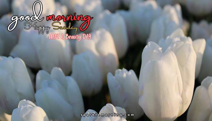 good morning happy sunday images